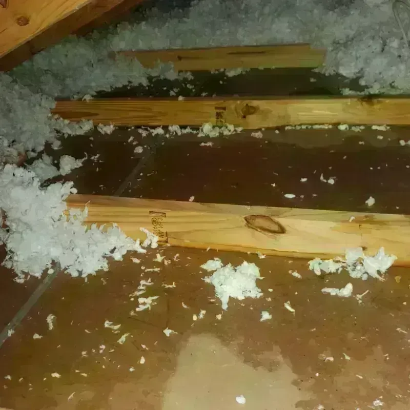 Attic Water Damage in Des Moines County, IA