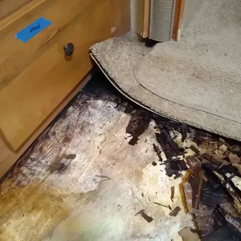 Wood Floor Water Damage in Des Moines County, IA